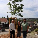 Baumbestattung nun auch auf den Friedhöfen in Sulzbach und Rosenberg möglich